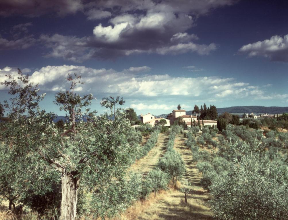 Il Borghetto Country Inn San Casciano in Val di Pesa Exterior photo