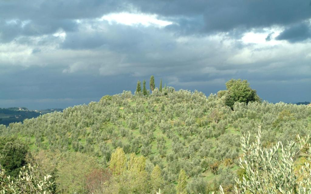 Il Borghetto Country Inn San Casciano in Val di Pesa Exterior photo